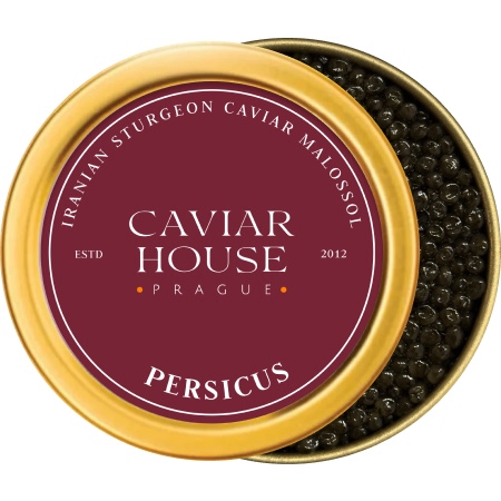 Persicus